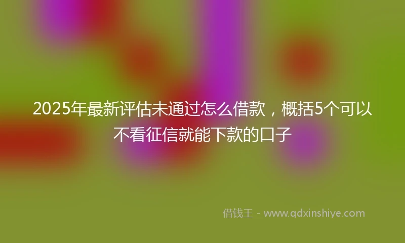 2025年最新评估未通过怎么借款，概括5个可以不看征信就能下款的口子