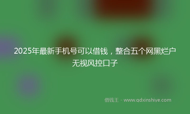 2025年最新手机号可以借钱，整合五个网黑烂户无视风控口子