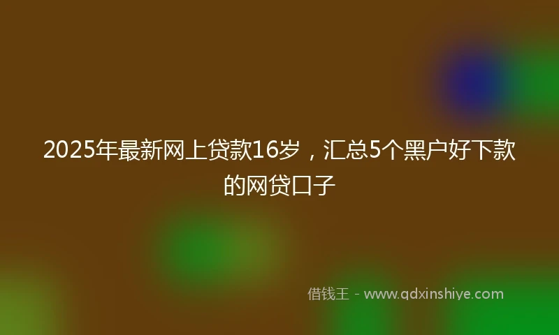 2025年最新网上贷款16岁，汇总5个黑户好下款的网贷口子