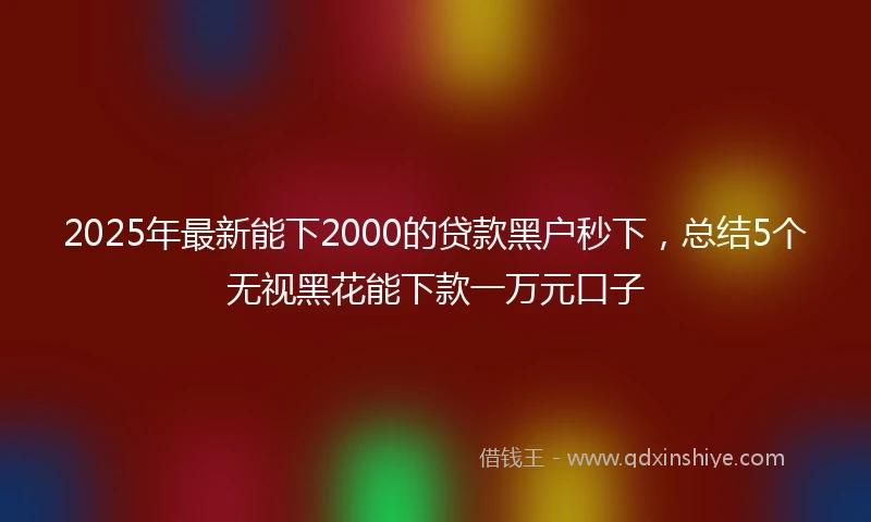 2025年最新能下2000的贷款黑户秒下，总结5个无视黑花能下款一万元口子