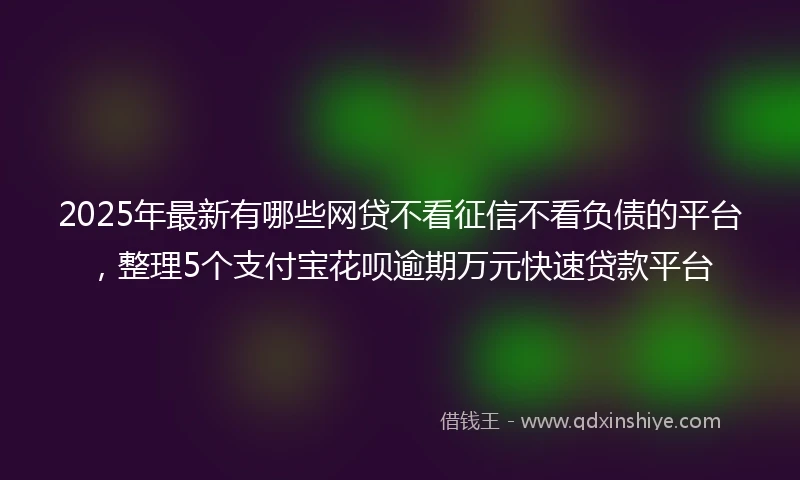 2025年最新有哪些网贷不看征信不看负债的平台，整理5个支付宝花呗逾期万元快速贷款平台