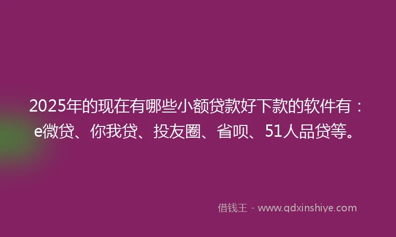 2025年的现在有哪些小额贷款好下款的软件有：e微贷、你我贷、投友圈、省呗、51人品贷等。