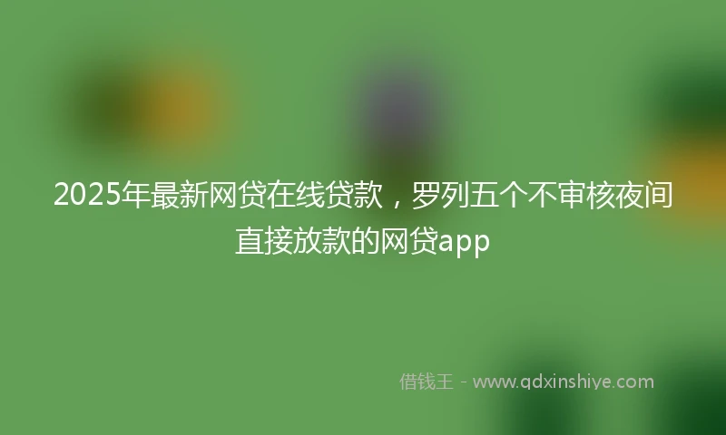 2025年最新网贷在线贷款，罗列五个不审核夜间直接放款的网贷app