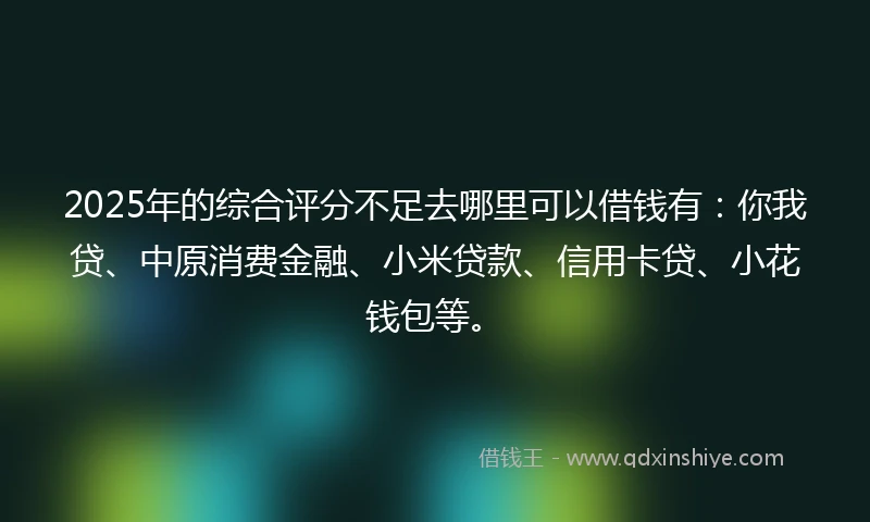 2025年的综合评分不足去哪里可以借钱有：你我贷、中原消费金融、小米贷款、信用卡贷、小花钱包等。