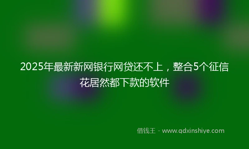 2025年最新新网银行网贷还不上，整合5个征信花居然都下款的软件