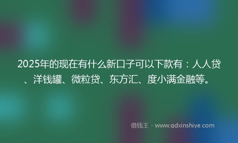 2025年的现在有什么新口子可以下款有：人人贷、洋钱罐、微粒贷、东方汇、度小满金融等。