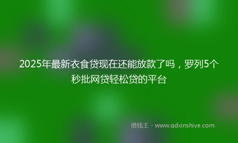 2025年最新衣食贷现在还能放款了吗，罗列5个秒批网贷轻松贷的平台