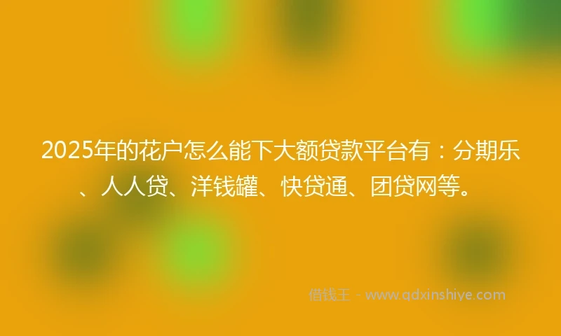 2025年的花户怎么能下大额贷款平台有：分期乐、人人贷、洋钱罐、快贷通、团贷网等。