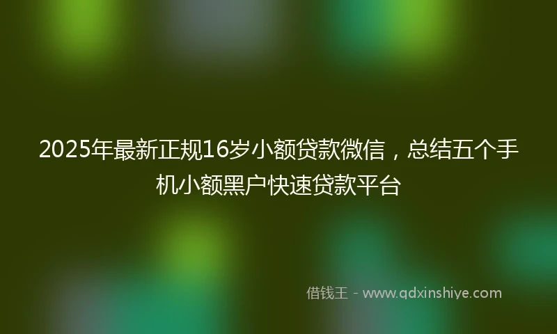 2025年最新正规16岁小额贷款微信，总结五个手机小额黑户快速贷款平台