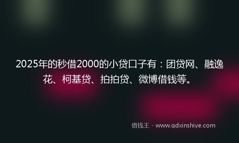 2025年的秒借2000的小贷口子有：团贷网、融逸花、柯基贷、拍拍贷、微博借钱等。