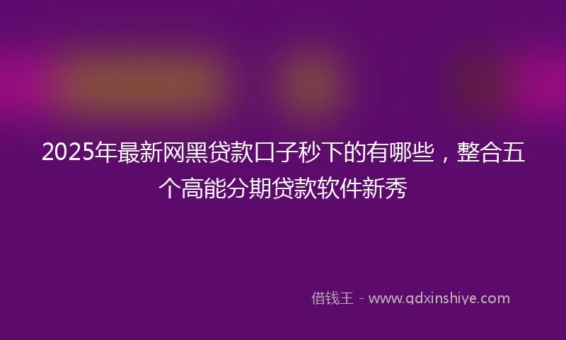 2025年最新网黑贷款口子秒下的有哪些，整合五个高能分期贷款软件新秀