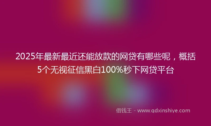 2025年最新最近还能放款的网贷有哪些呢，概括5个无视征信黑白100%秒下网贷平台