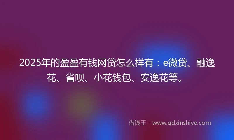 2025年的盈盈有钱网贷怎么样有：e微贷、融逸花、省呗、小花钱包、安逸花等。