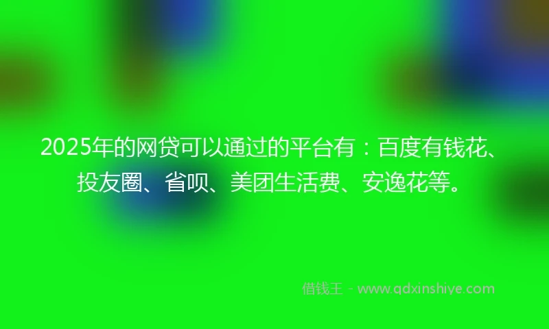 2025年的网贷可以通过的平台有：百度有钱花、投友圈、省呗、美团生活费、安逸花等。