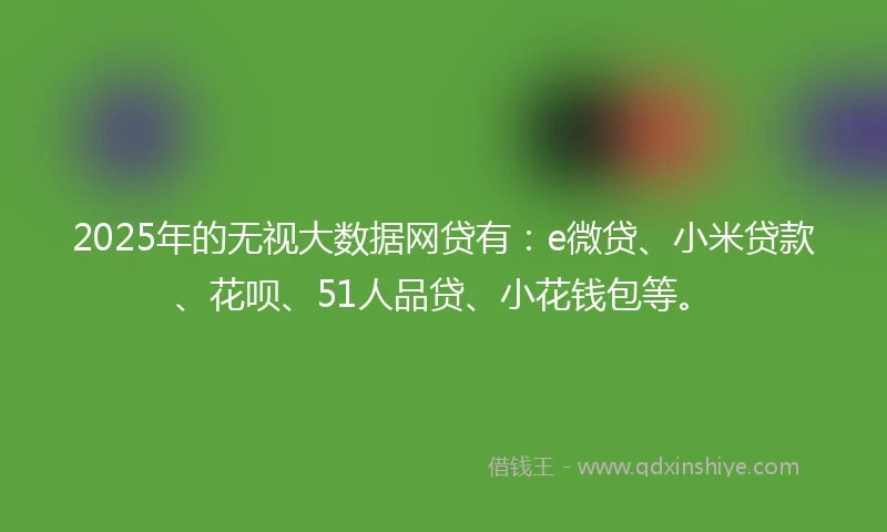2025年的无视大数据网贷有：e微贷、小米贷款、花呗、51人品贷、小花钱包等。