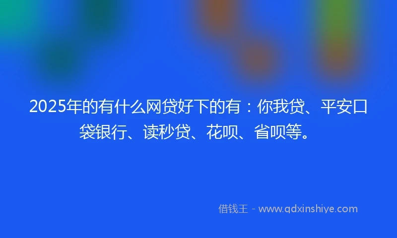 2025年的有什么网贷好下的有：你我贷、平安口袋银行、读秒贷、花呗、省呗等。