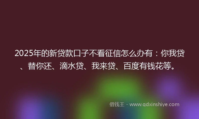 2025年的新贷款口子不看征信怎么办有：你我贷、替你还、滴水贷、我来贷、百度有钱花等。