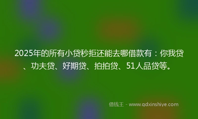 2025年的所有小贷秒拒还能去哪借款有：你我贷、功夫贷、好期贷、拍拍贷、51人品贷等。