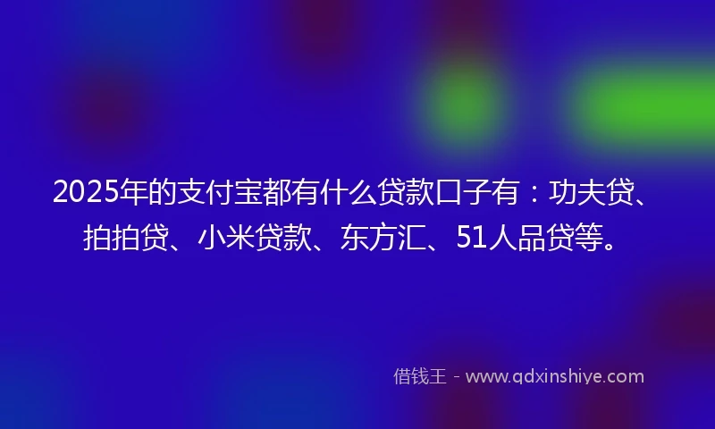 2025年的支付宝都有什么贷款口子有：功夫贷、拍拍贷、小米贷款、东方汇、51人品贷等。