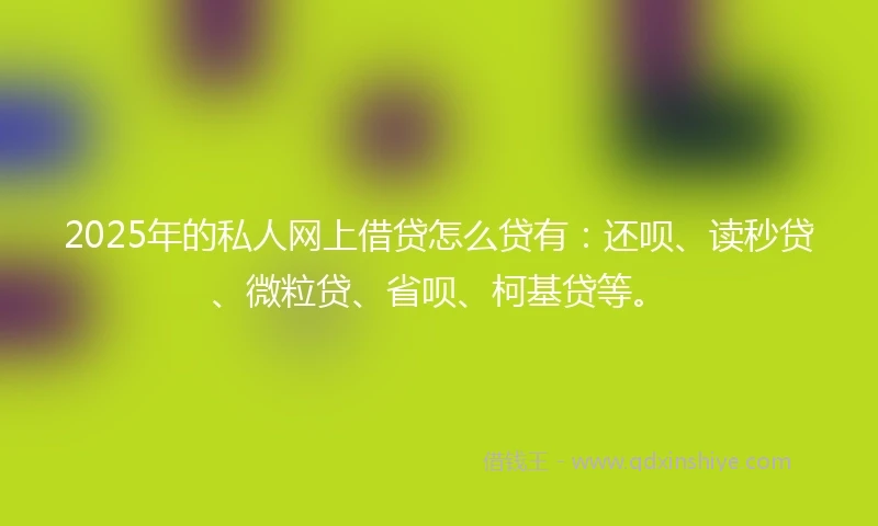 2025年的私人网上借贷怎么贷有：还呗、读秒贷、微粒贷、省呗、柯基贷等。