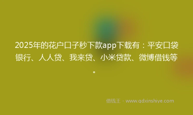 2025年的花户口子秒下款app下载有：平安口袋银行、人人贷、我来贷、小米贷款、微博借钱等。