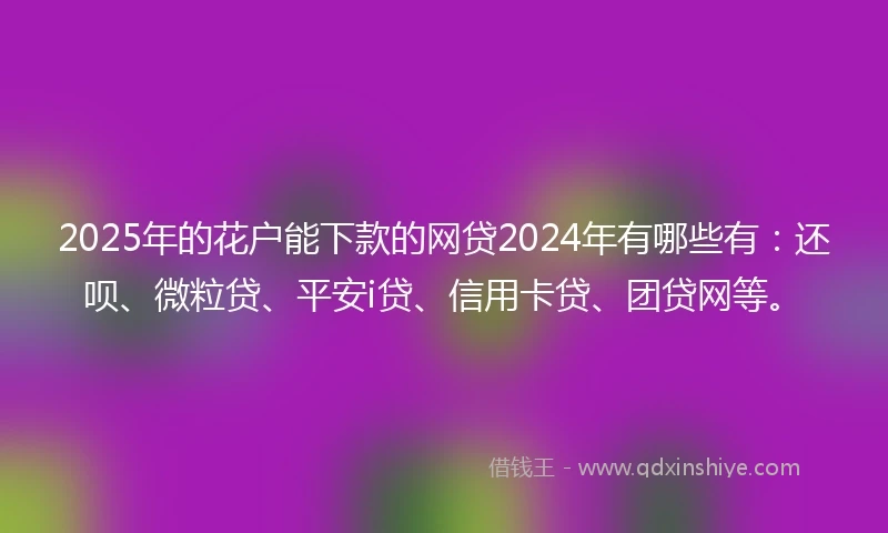 2025年的花户能下款的网贷2024年有哪些有：还呗、微粒贷、平安i贷、信用卡贷、团贷网等。