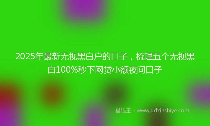 2025年最新无视黑白户的口子，梳理五个无视黑白100%秒下网贷小额夜间口子