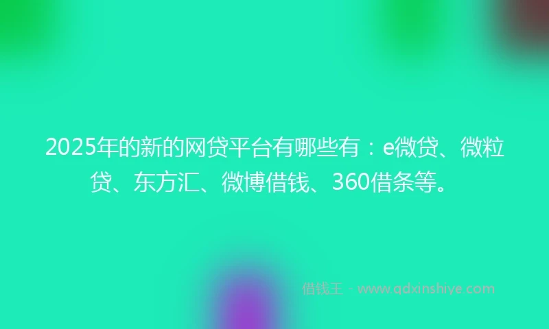 2025年的新的网贷平台有哪些有：e微贷、微粒贷、东方汇、微博借钱、360借条等。