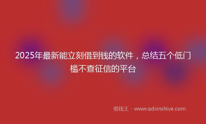 2025年最新能立刻借到钱的软件，总结五个低门槛不查征信的平台