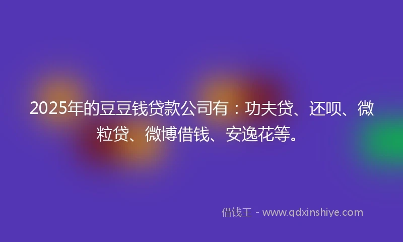2025年的豆豆钱贷款公司有：功夫贷、还呗、微粒贷、微博借钱、安逸花等。