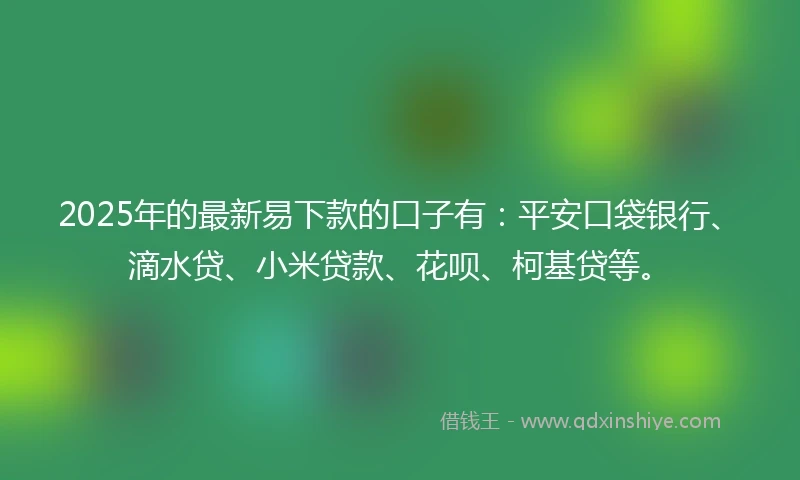 2025年的最新易下款的口子有：平安口袋银行、滴水贷、小米贷款、花呗、柯基贷等。