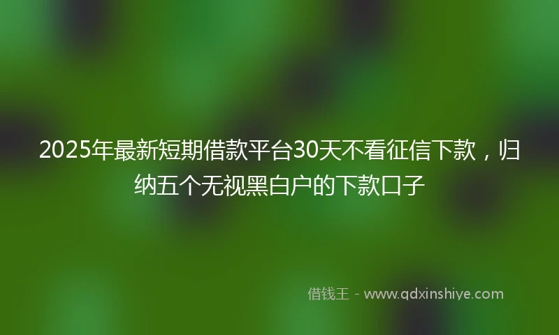 2025年最新短期借款平台30天不看征信下款，归纳五个无视黑白户的下款口子