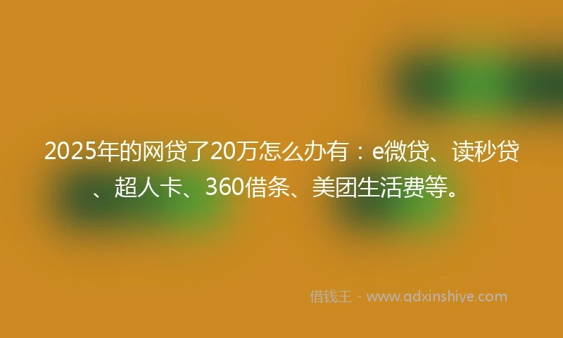 2025年的网贷了20万怎么办有：e微贷、读秒贷、超人卡、360借条、美团生活费等。