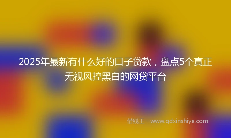 2025年最新有什么好的口子贷款，盘点5个真正无视风控黑白的网贷平台