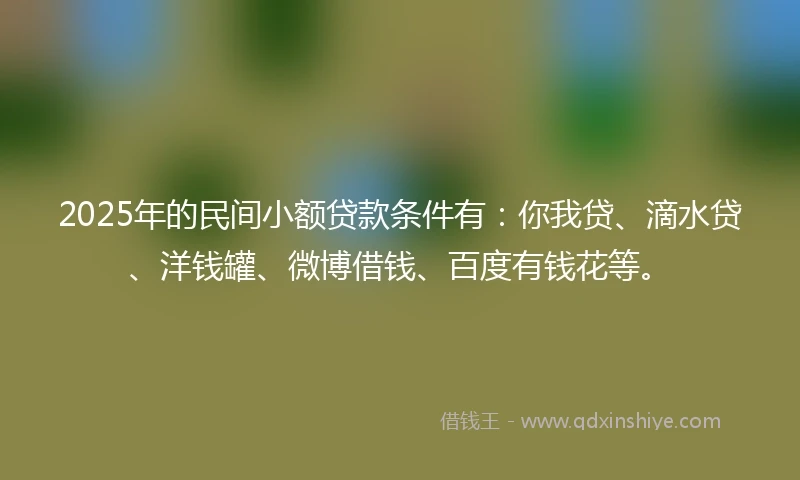 2025年的民间小额贷款条件有：你我贷、滴水贷、洋钱罐、微博借钱、百度有钱花等。
