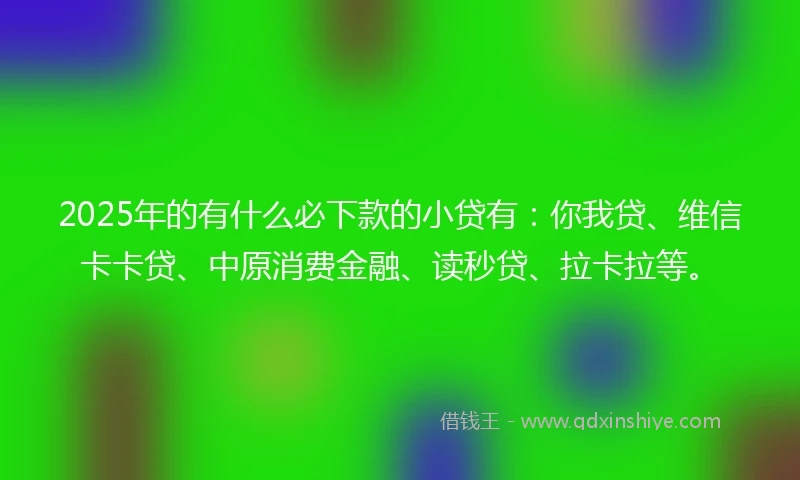 2025年的有什么必下款的小贷有：你我贷、维信卡卡贷、中原消费金融、读秒贷、拉卡拉等。