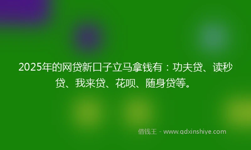 2025年的网贷新口子立马拿钱有：功夫贷、读秒贷、我来贷、花呗、随身贷等。