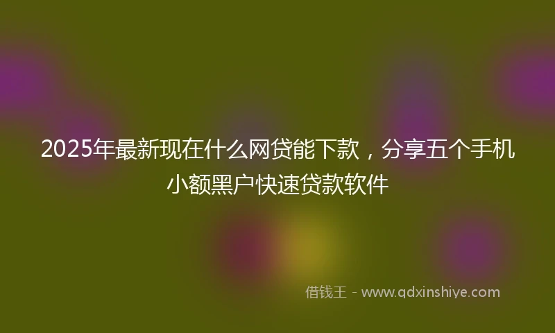 2025年最新现在什么网贷能下款，分享五个手机小额黑户快速贷款软件