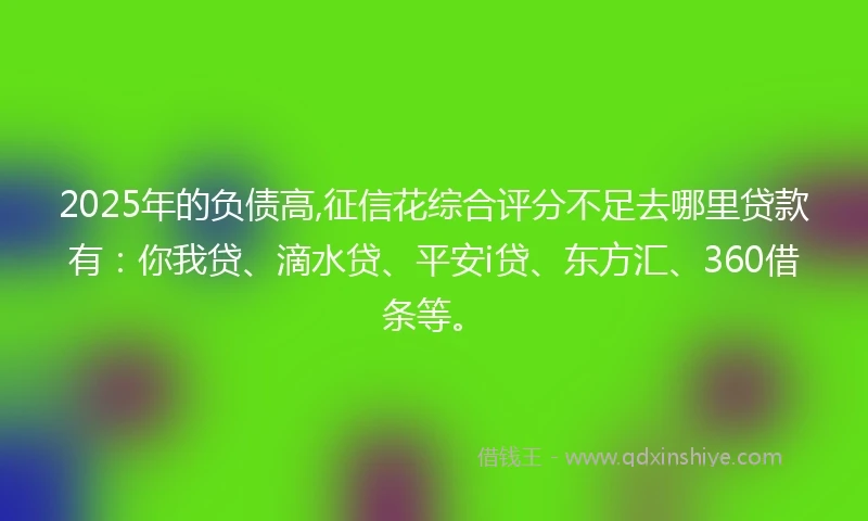 2025年的负债高,征信花综合评分不足去哪里贷款有：你我贷、滴水贷、平安i贷、东方汇、360借条等。
