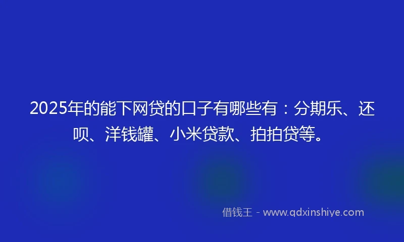 2025年的能下网贷的口子有哪些有：分期乐、还呗、洋钱罐、小米贷款、拍拍贷等。