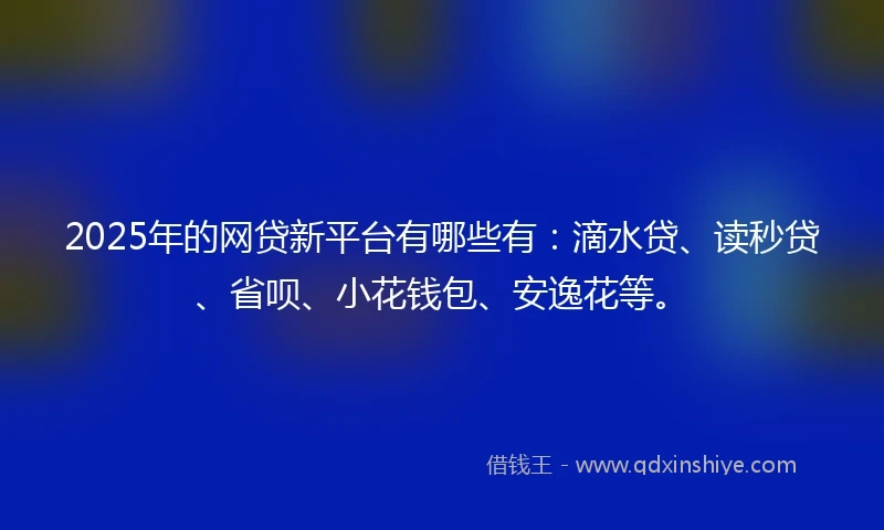 2025年的网贷新平台有哪些有：滴水贷、读秒贷、省呗、小花钱包、安逸花等。