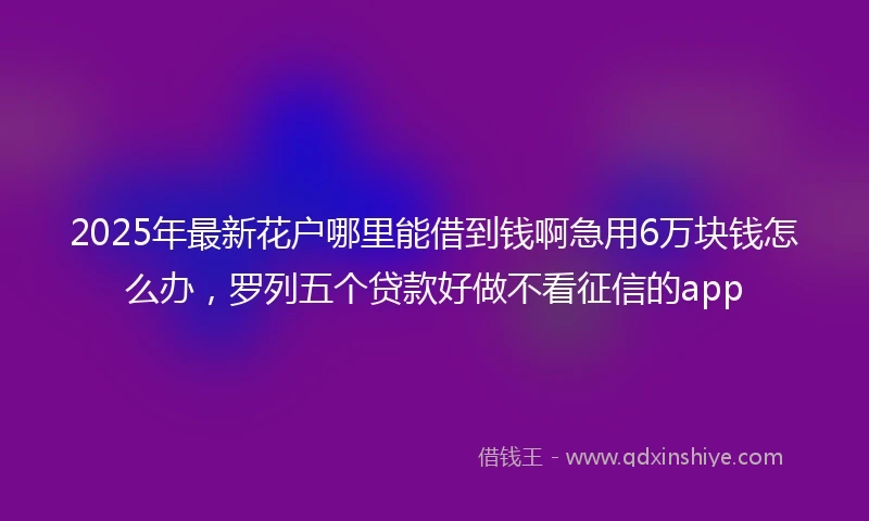 2025年最新花户哪里能借到钱啊急用6万块钱怎么办，罗列五个贷款好做不看征信的app