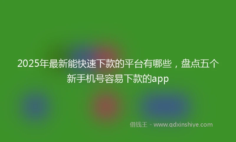2025年最新能快速下款的平台有哪些，盘点五个新手机号容易下款的app