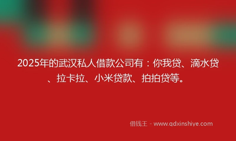 2025年的武汉私人借款公司有：你我贷、滴水贷、拉卡拉、小米贷款、拍拍贷等。