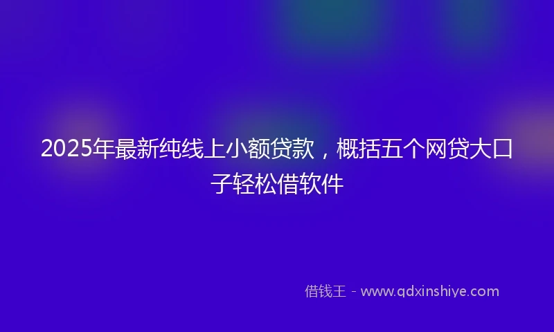 2025年最新纯线上小额贷款，概括五个网贷大口子轻松借软件