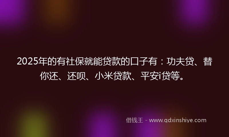 2025年的有社保就能贷款的口子有：功夫贷、替你还、还呗、小米贷款、平安i贷等。