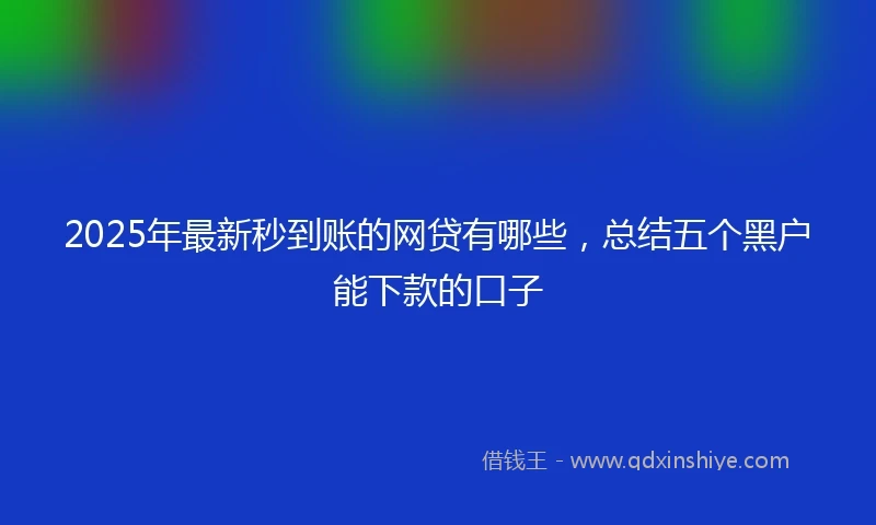 2025年最新秒到账的网贷有哪些，总结五个黑户能下款的口子