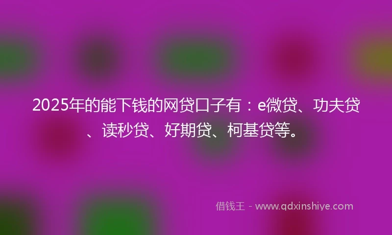 2025年的能下钱的网贷口子有：e微贷、功夫贷、读秒贷、好期贷、柯基贷等。
