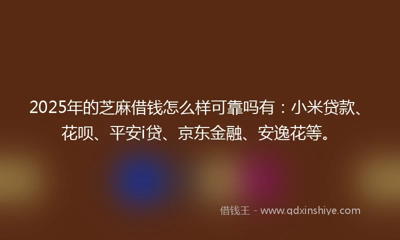 2025年的芝麻借钱怎么样可靠吗有：小米贷款、花呗、平安i贷、京东金融、安逸花等。