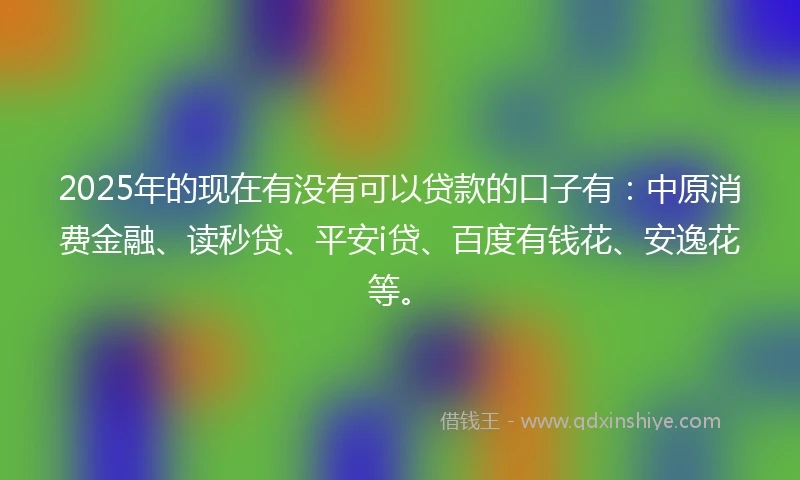 2025年的现在有没有可以贷款的口子有：中原消费金融、读秒贷、平安i贷、百度有钱花、安逸花等。